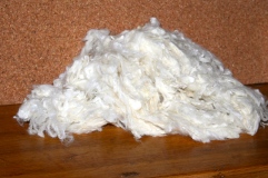 scoured white lambswool