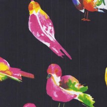 colourful birds - 150 cm wide